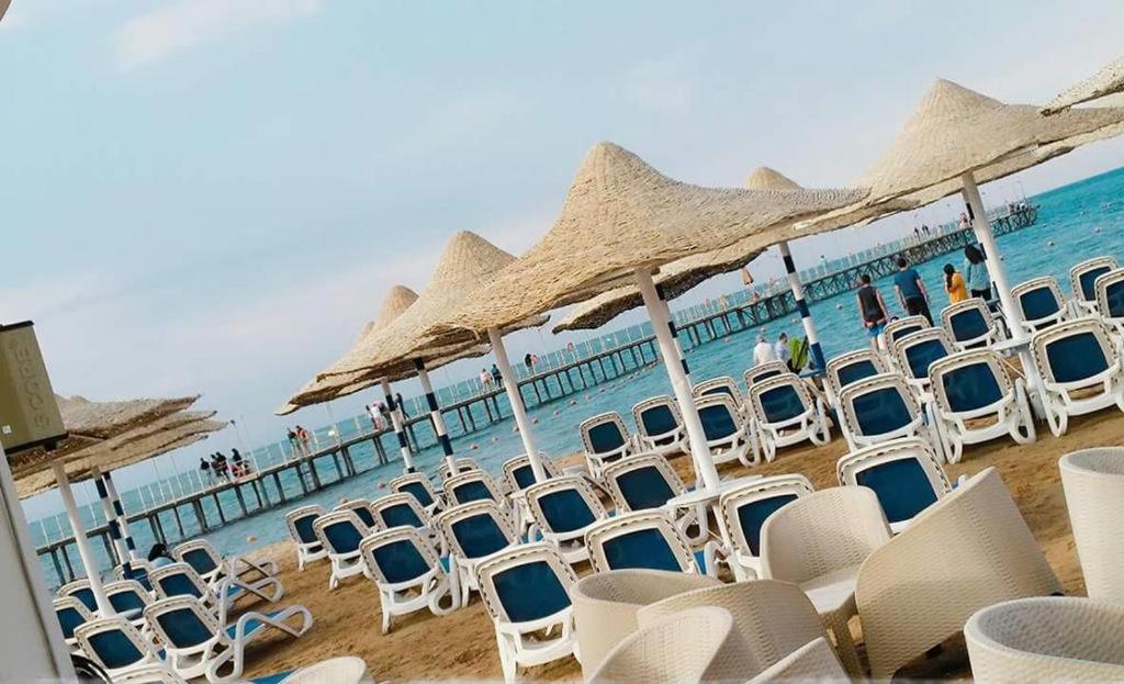 Seaview Chalets In Porto South Beach - Families Only 아인 수크나 외부 사진