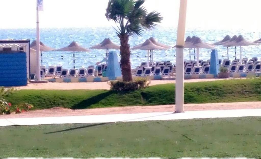Seaview Chalets In Porto South Beach - Families Only 아인 수크나 외부 사진