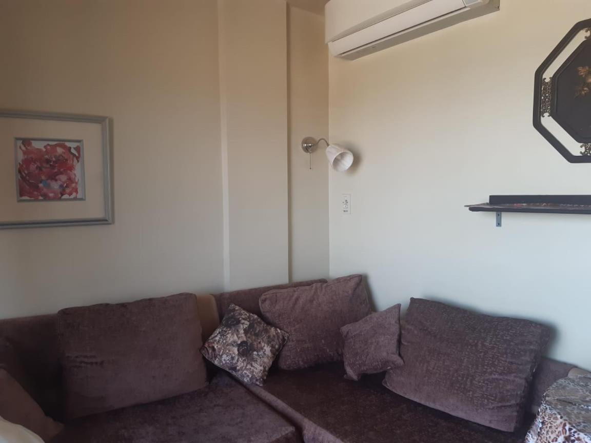 Seaview Chalets In Porto South Beach - Families Only 아인 수크나 외부 사진