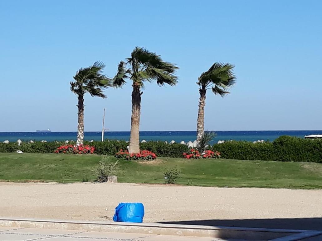 Seaview Chalets In Porto South Beach - Families Only 아인 수크나 외부 사진